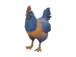 Pet Chicken | Catalana (Orange Blue Neck)