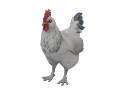 Pet Chicken | Catalana (White)