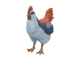 Pet Chicken | Catalana (Light Blue and Red)
