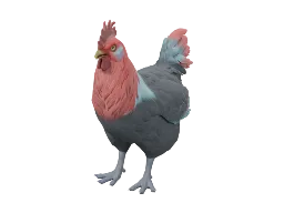 Pet Chicken | Catalana (Black with Red Head)