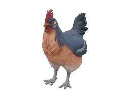 Pet Chicken | Catalana (Blue and Light Orange)
