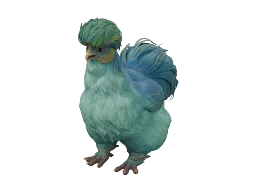 Pet Chicken | Silkie (Aqua with Yellow)