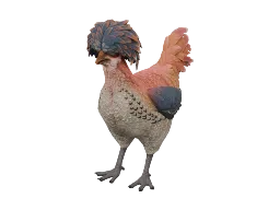 Pet Chicken | Polish (Orange White Blue)