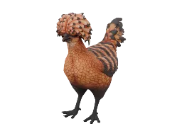 Pet Chicken | Polish (Orange with Black Stripes)