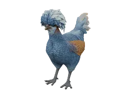 Pet Chicken | Polish (Blue)